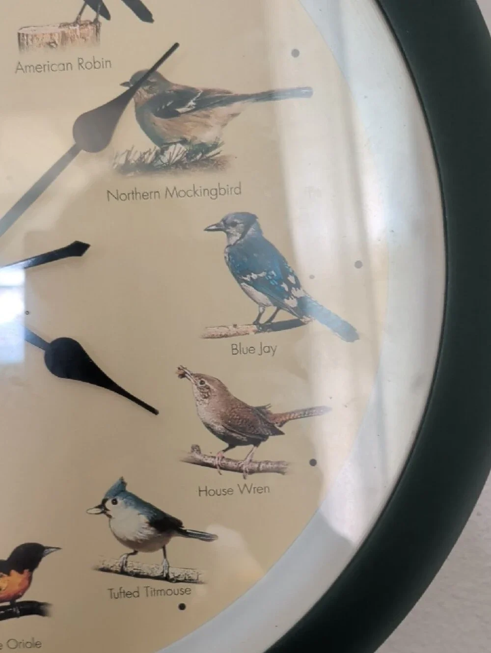 Vintage Singing Bird Dial Wall Clock in Dark Green 13